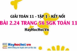 Giải bài 2.24 trang 56 Toán 11 tập 1 SGK Kết nối tri thức: Cấp số cộng, cấp số nhân